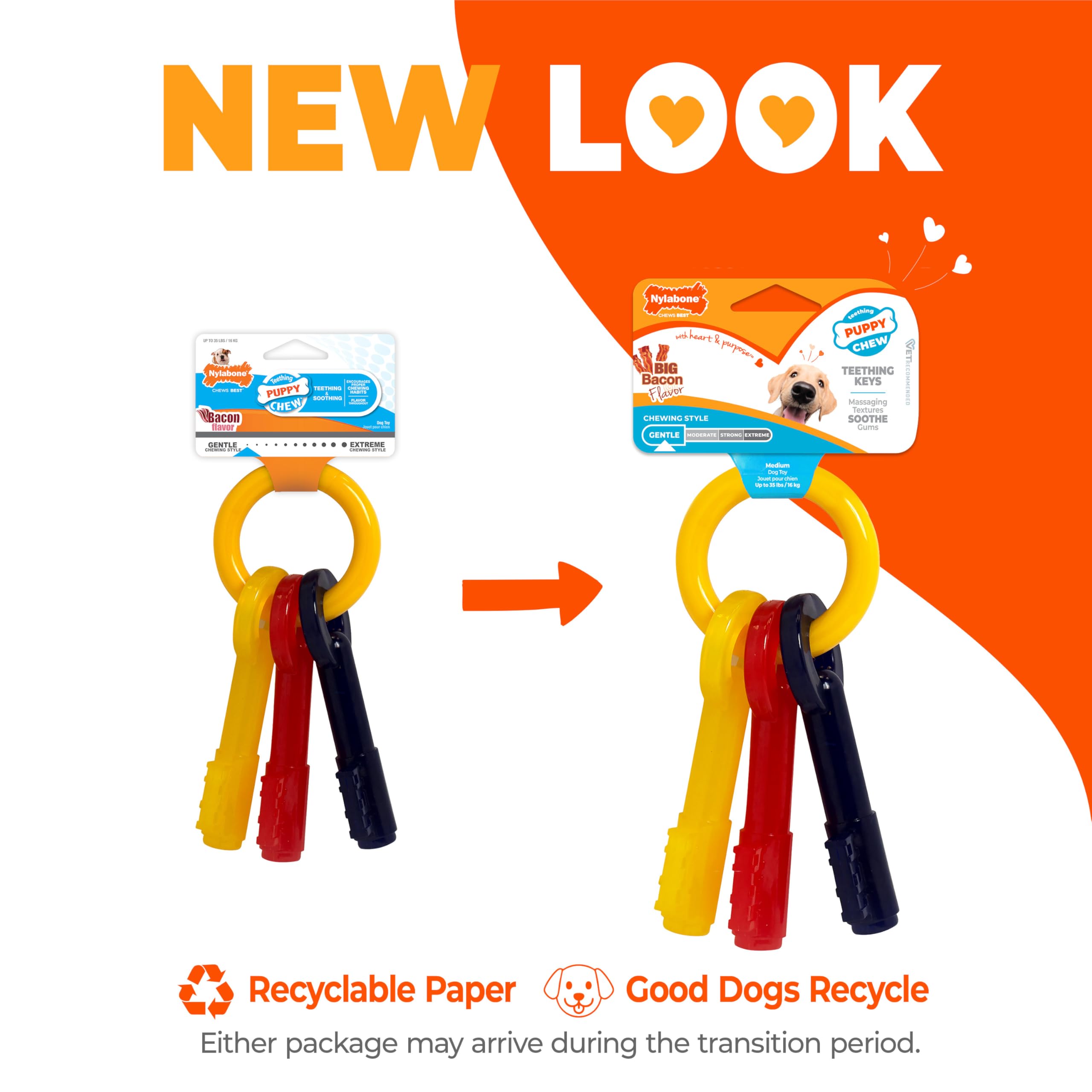 Pet Supplies : Pet Chew Toys : Nylabone Puppy Chew Teething Keys